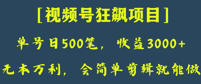 日收款500笔，纯利润3000+，视频号狂飙项目，会简单剪辑就能做【揭秘】-源创资源网