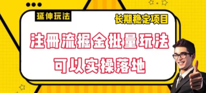 注册流掘金批量玩法，可以实操落地【揭秘】-源创资源网