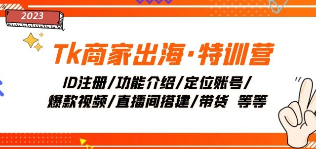 Tk商家出海·特训营：ID注册/功能介绍/定位账号/爆款视频/直播间搭建/带货-源创资源网