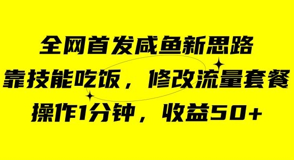 咸鱼冷门新玩法，靠“技能吃饭”，修改流量套餐，操作1分钟，收益50【揭秘】-源创资源网