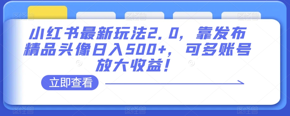 小红书最新玩法2.0，靠发布精品头像日入500+，可多账号放大收益！【揭秘】-源创资源网