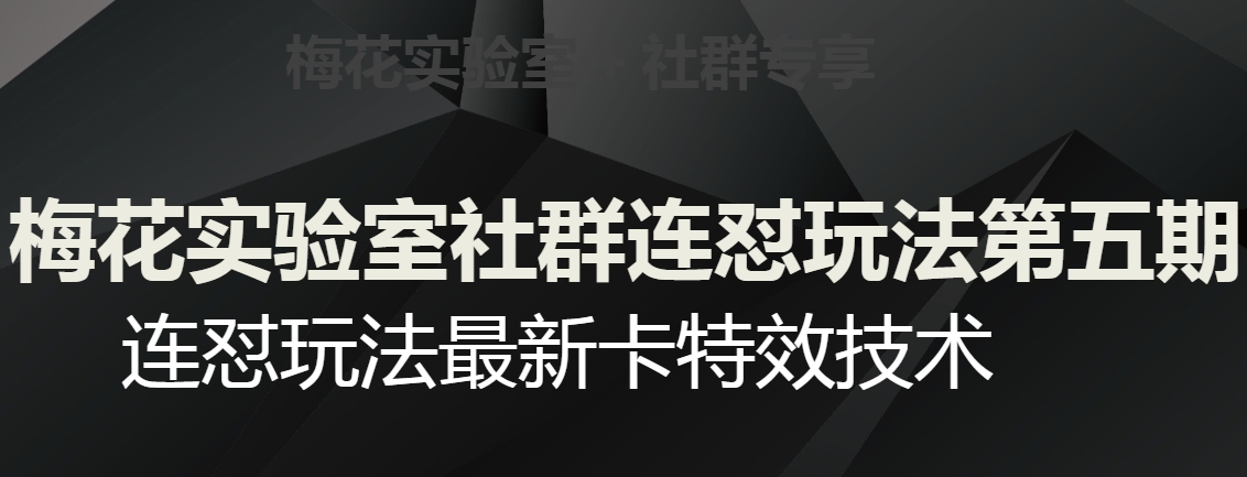 梅花实验室社群连怼玩法第五期，视频号连怼玩法最新卡特效技术-源创资源网