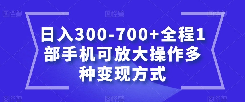 日入300-700+全程1部手机可放大操作多种变现方式【揭秘】-源创资源网
