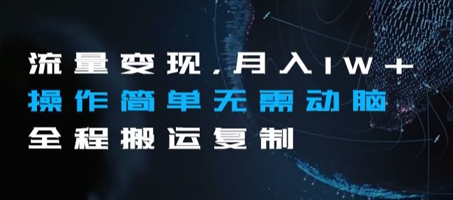 流量变现，月入1W+操作简单无需动脑全程搬运复制【揭秘】-源创资源网