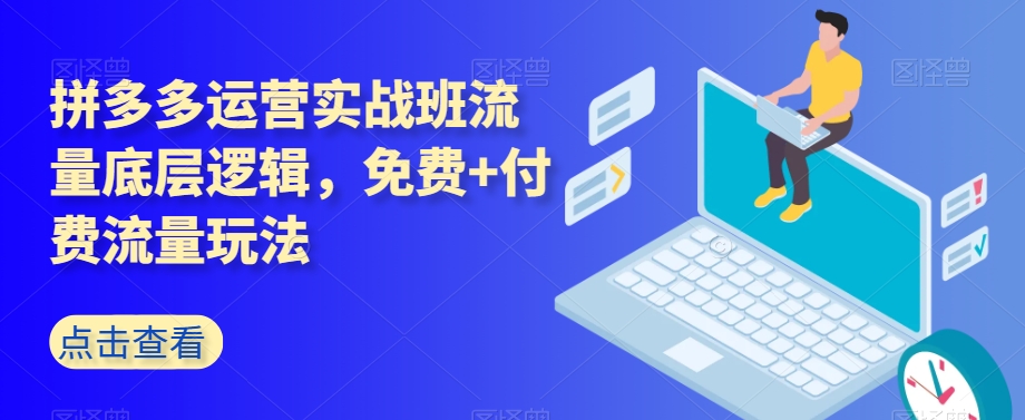 拼多多运营实战班流量底层逻辑，免费+付费流量玩法-源创资源网