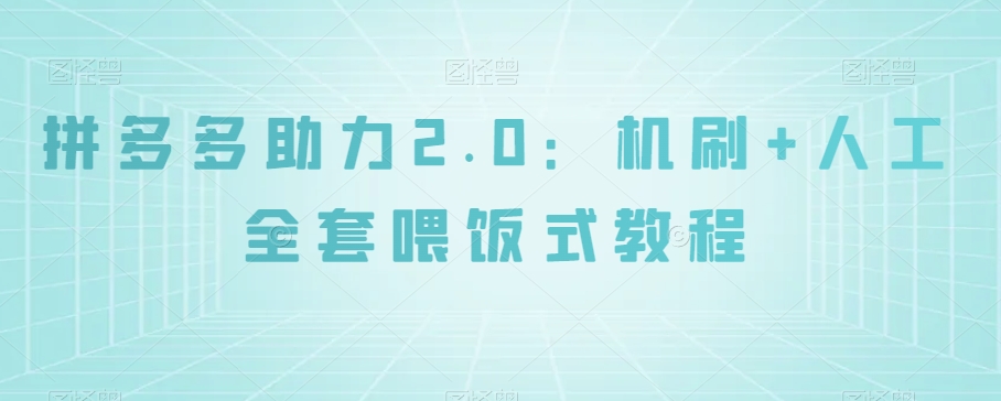 拼多多助力2.0：机刷+人工全套喂饭式教程【揭秘】-源创资源网