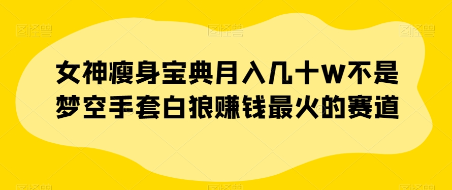 女神瘦身宝典月入几十W不是梦空手套白狼赚钱最火的赛道【揭秘】-源创资源网