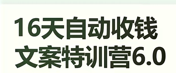 16天自动收钱文案特训营6.0，学会儿每天自动咔咔收钱-源创资源网