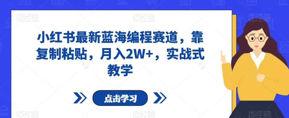 小红书最新蓝海编程赛道，靠复制粘贴，月入2W+，实战式教学【揭秘】-源创资源网