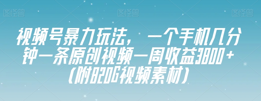 视频号暴力玩法，一个手机几分钟一条原创视频一周收益3800+（附820G视频素材）-源创资源网