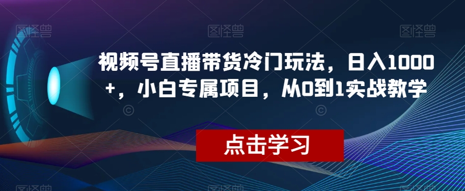视频号直播带货冷门玩法，日入1000+，小白专属项目，从0到1实战教学【揭秘】-源创资源网