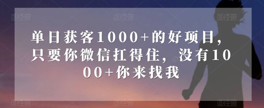单日获客1000+的好项目，只要你微信扛得住，没有1000+你来找我【揭秘】-源创资源网