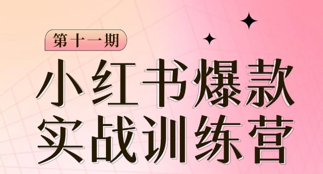 小红书博主爆款训练营第11期，手把手教你从0-1做小红书，从定位到起号到变现-源创资源网