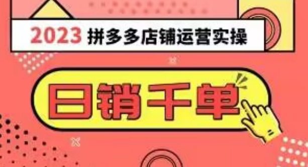 2023拼多多运营实操，每天30分钟日销1000＋，爆款选品技巧大全（10节课）-源创资源网