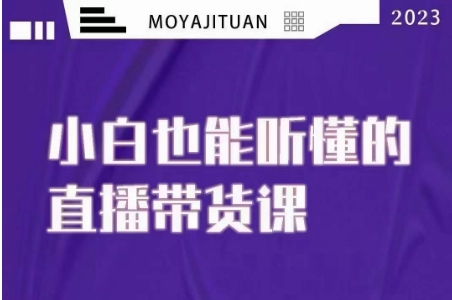 大威本威·能听懂的直播带货课，小白也能听懂，20节完整-源创资源网