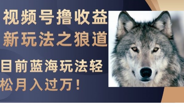 视频号撸收益新玩法之狼道，目前蓝海玩法，轻松月入过万【揭秘】-源创资源网
