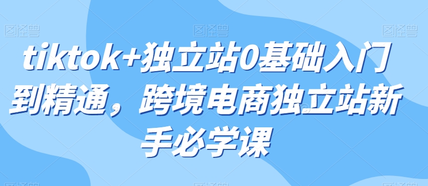 tiktok+独立站0基础入门到精通，跨境电商独立站新手必学课-源创资源网