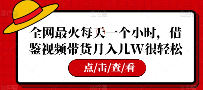 全网最火每天一个小时，借鉴视频带货月入几W很轻松【揭秘】-源创资源网