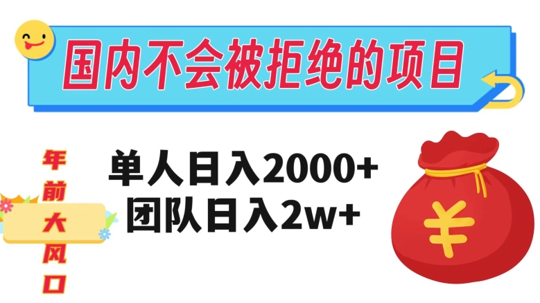 在国内不怕被拒绝的项目，单人日入2000，团队日入20000+【揭秘】-源创资源网
