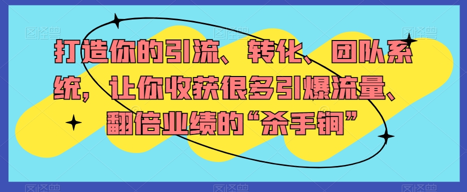 打造你的引流、转化、团队系统，让你收获很多引爆流量、翻倍业绩的“杀手锏”-源创资源网