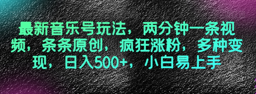 最新音乐号玩法，两分钟一条视频，条条原创，疯狂涨粉，多种变现，日入500+，小白易上手【揭秘】-源创资源网