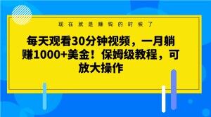 每天观看30分钟视频，一月躺赚1000+美金！保姆级教程，可放大操作【揭秘】-源创资源网