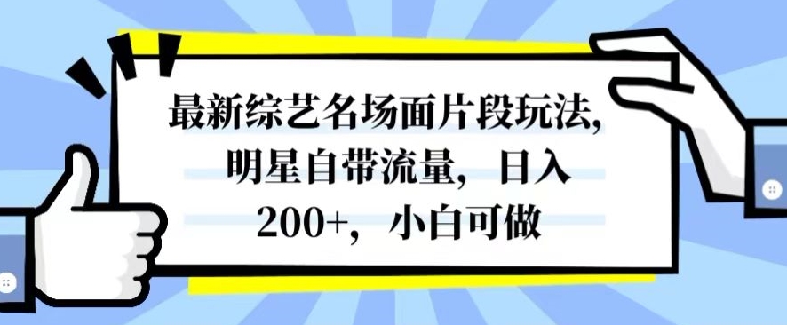 最新综艺名场面片段玩法，明星自带流量，日入200+，小白可做【揭秘】-源创资源网