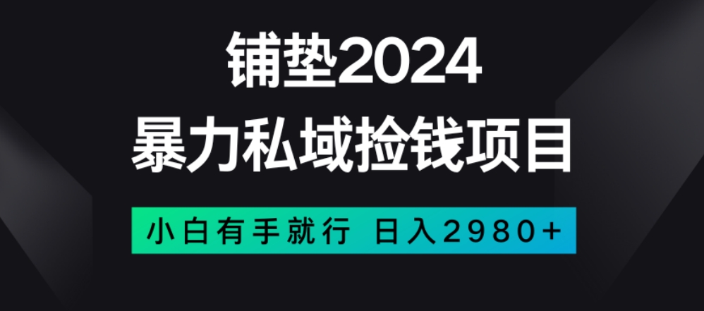 暴力私域捡钱项目，小白无脑操作，日入2980【揭秘】-源创资源网