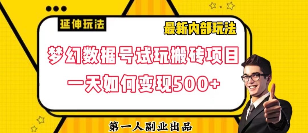 数据号回归玩法游戏试玩搬砖项目再创日入500+【揭秘】-源创资源网
