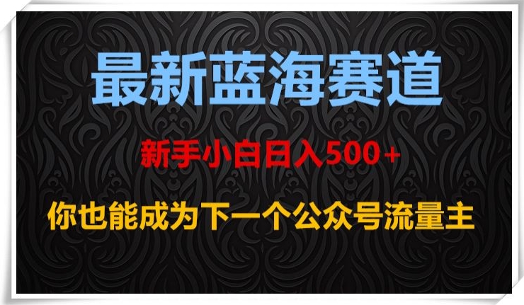 最新蓝海赛道，新手小白日入500+，你也能成为下一个公众号流量主【揭秘】-源创资源网
