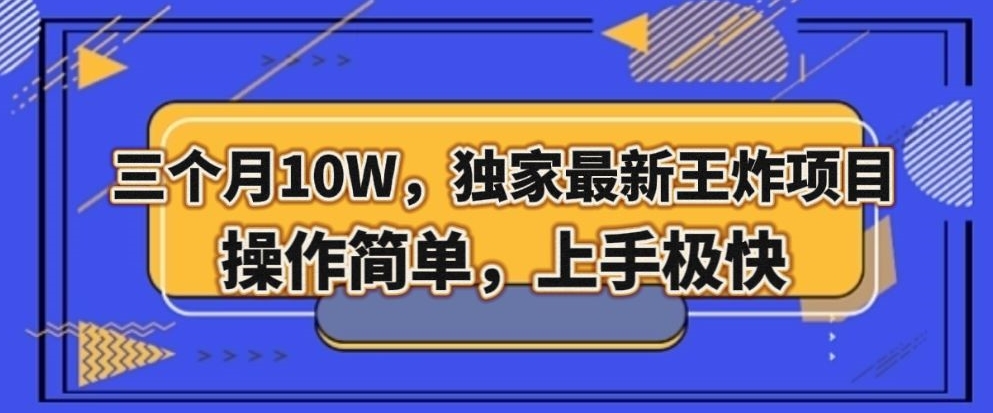 三个月10W，独家最新王炸项目！操作简单，上手极快【揭秘】-源创资源网