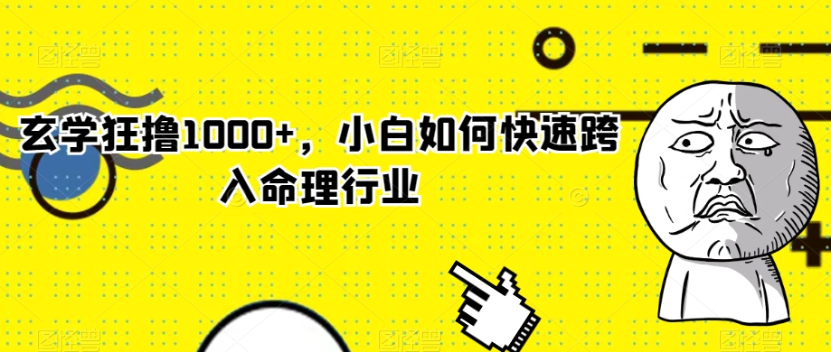 玄学狂撸1000+，小白如何快速跨入命理行业【揭秘】-源创资源网