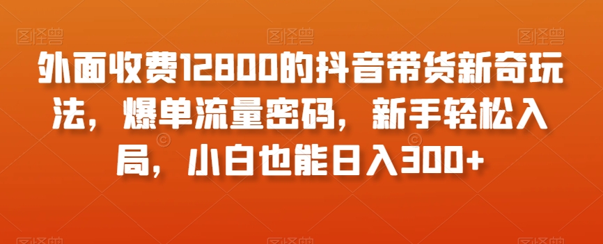 外面收费12800的抖音带货新奇玩法，爆单流量密码，新手轻松入局，小白也能日入300+【揭秘】-源创资源网