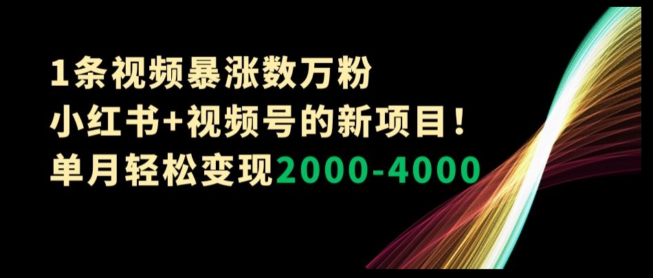 1条视频暴涨数万粉–小红书+视频号的新项目！单月轻松变现2000-4000【揭秘】-源创资源网