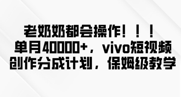 老奶奶都会操作，新平台无脑操作，单月40000+，vivo短视频创作分成计划【揭秘】-源创资源网