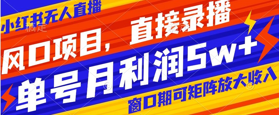 风口项目，小红书无人直播带货，直接录播，可矩阵，月入5w+【揭秘】-源创资源网