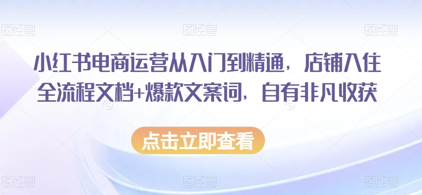 小红书电商运营从入门到精通，店铺入住全流程文档+爆款文案词，自有非凡收获-源创资源网