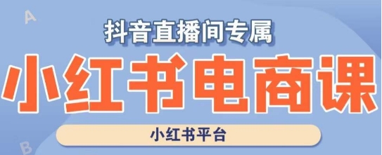 小红书电商高级运营课程，实操教学+案例分析-源创资源网