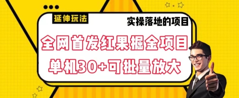 全网首发红果免费短剧掘金项目，单机30+可批量放大【揭秘】-源创资源网