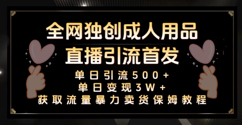 全网独创真人主播+无人直播单日引流500+，橙人用品暴力卖货单日变现3W+保姆似教学2.0【揭秘】-源创资源网