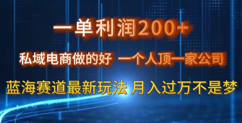 一单利润200私域电商做的好，一个人顶一家公司蓝海赛道最新玩法【揭秘】-源创资源网