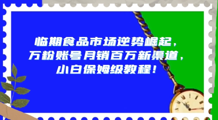 临期食品市场逆势崛起，万粉账号月销百万新渠道，小白保姆级教程【揭秘】-源创资源网