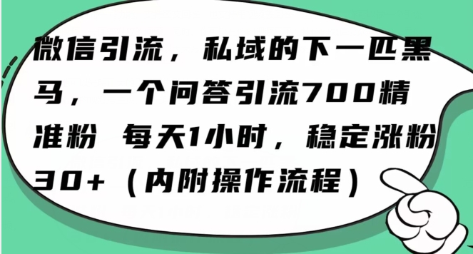 怎么搞精准创业粉？微信新赛道，每天一小时，利用Ai一个问答日引100精准粉-源创资源网