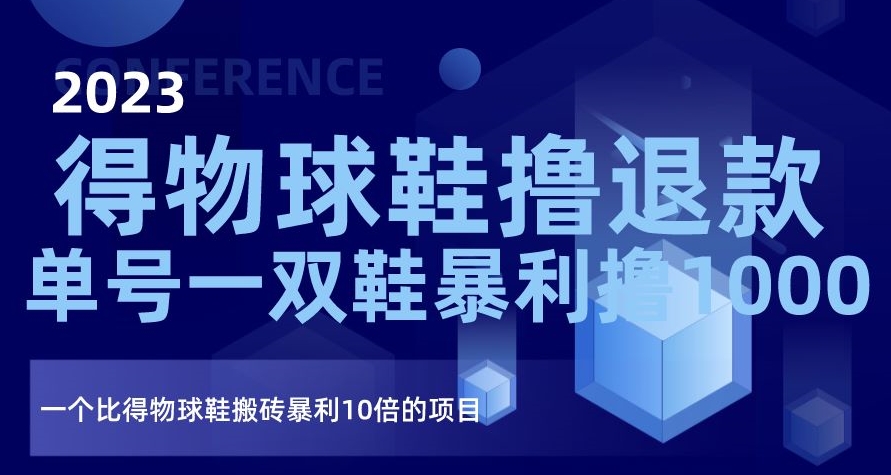 2023得物球鞋撸退款，单号一双鞋暴利撸1000，一个比得物球鞋搬砖暴利10倍的项目【揭秘】-源创资源网