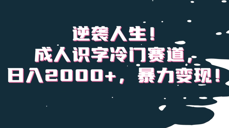 逆袭人生！成人识字冷门赛道，日入2000+，暴力变现！【揭秘】-源创资源网