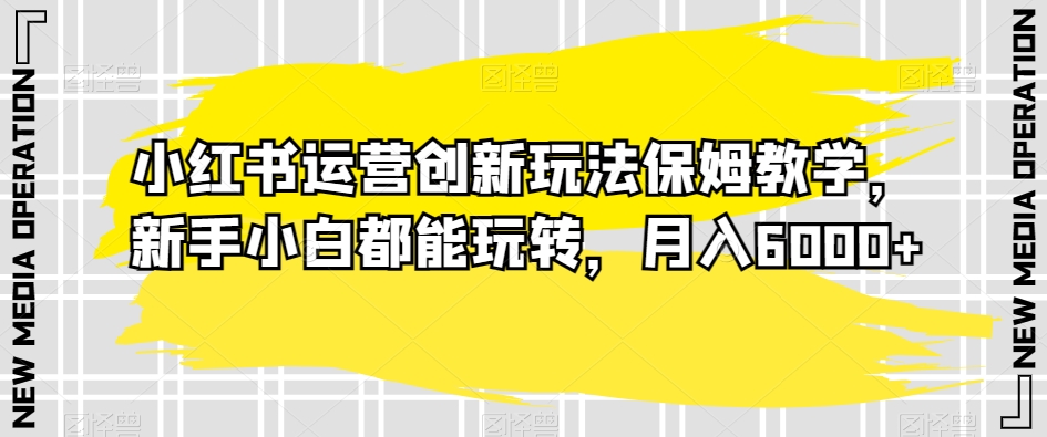 小红书运营创新玩法保姆教学，新手小白都能玩转，月入6000+【揭秘】-源创资源网
