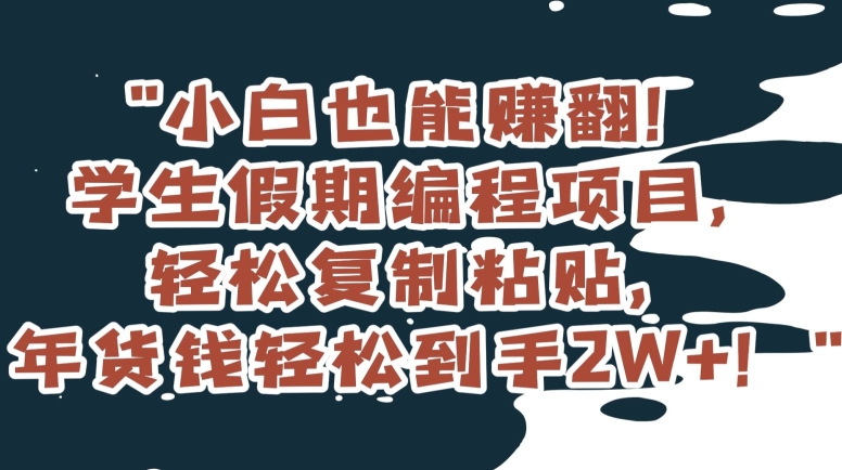 小白也能赚翻！学生假期编程项目，轻松复制粘贴，年货钱轻松到手2W+【揭秘】-源创资源网