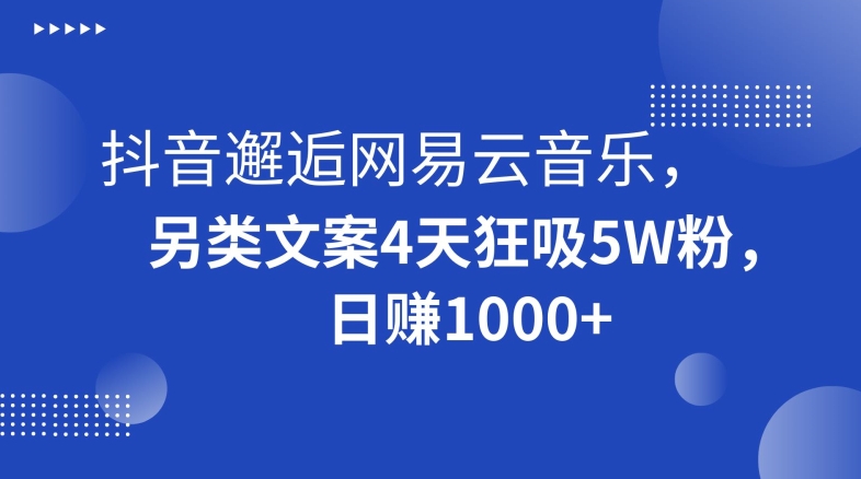 抖音邂逅网易云音乐，另类文案4天狂吸5W粉，日赚1000+【揭秘】-源创资源网