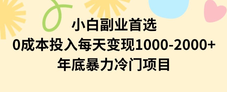 小白副业首选，0成本投入，每天变现1000-2000年底暴力冷门项目【揭秘】-源创资源网