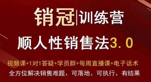 爆款！销冠训练营3.0之顺人性销售法，全方位解决销售难题、可落地、可执行、有结果-源创资源网